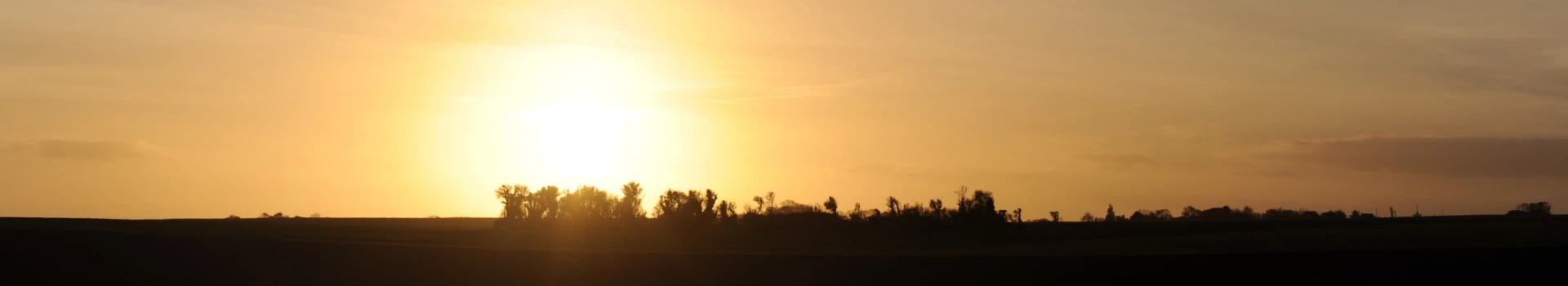 banner - wschód słońca nad horyzontem